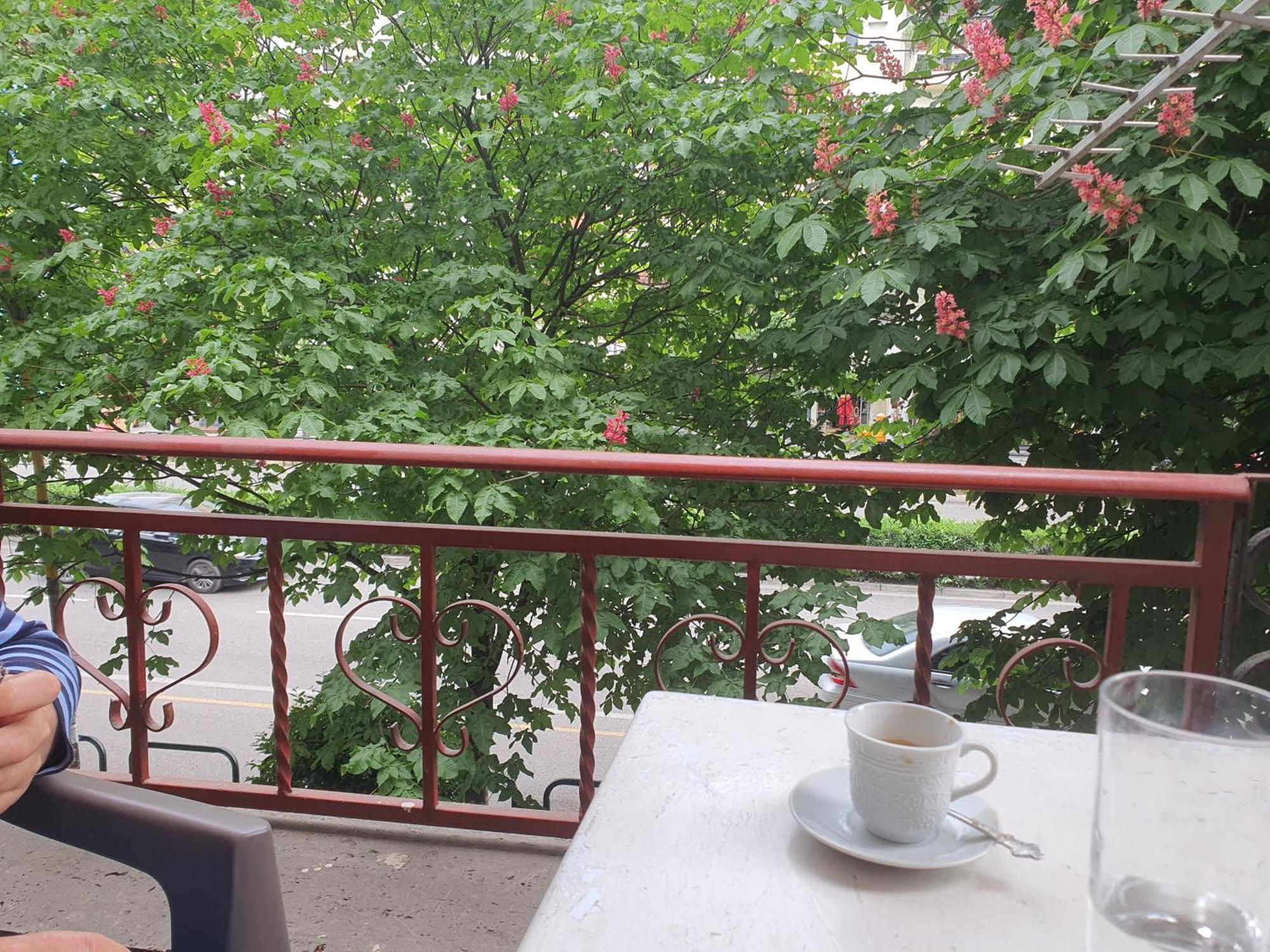 Appartamento Main Street Tirana